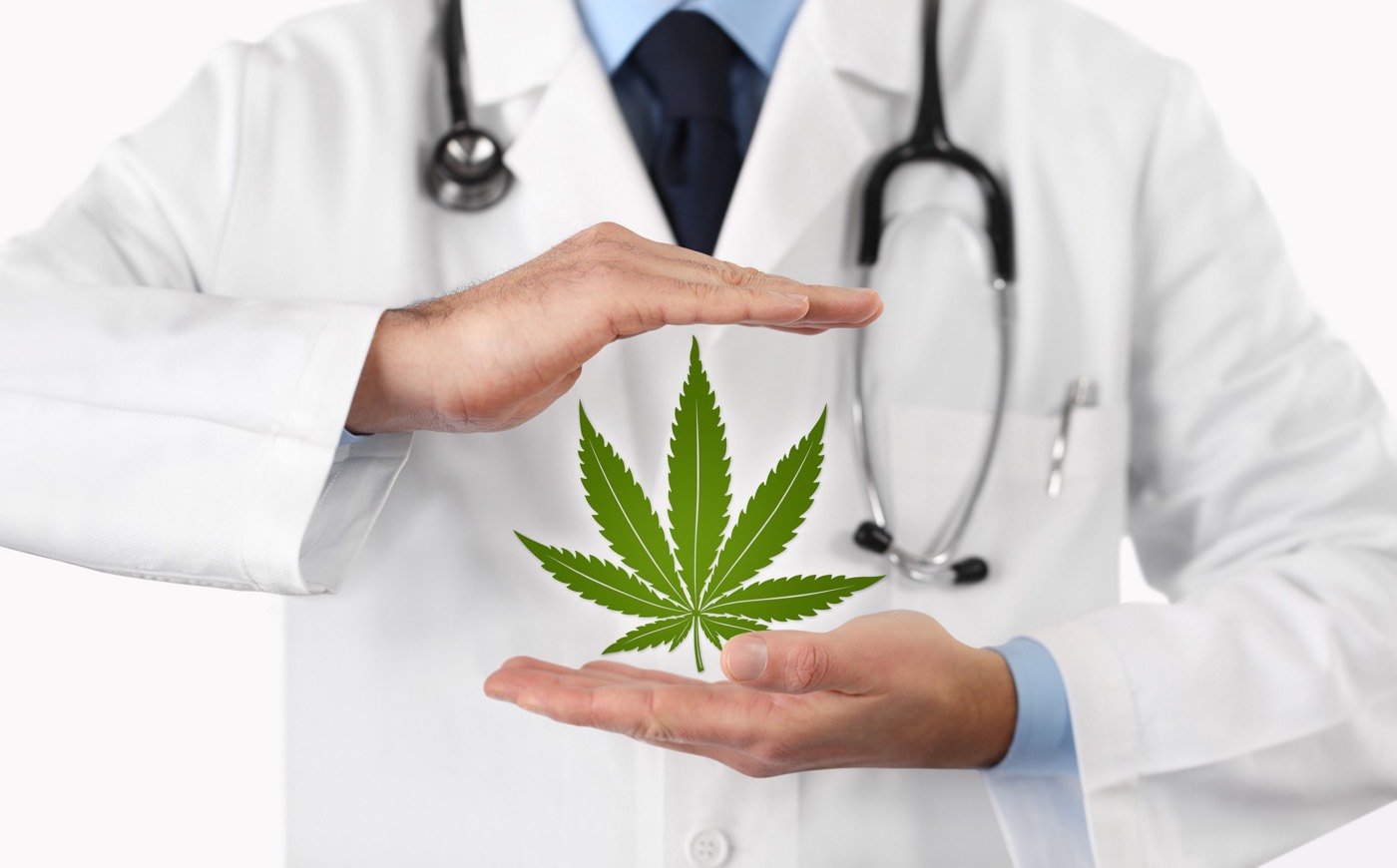 cannabis thérapeutique bientot légalisé en France