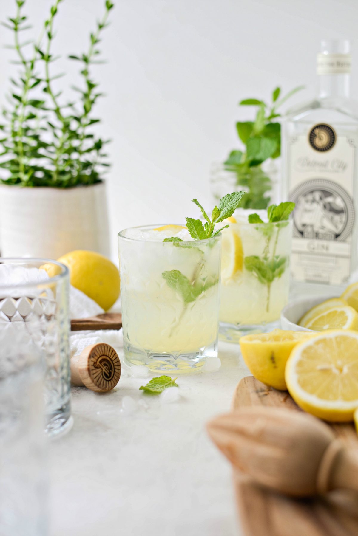 cocktails gin fizz citron soda feuilles menthe recette classique