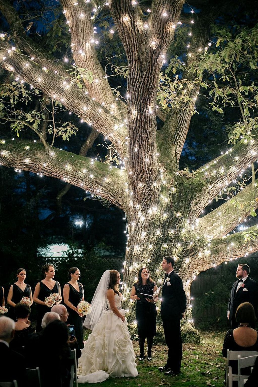 décoration lumineuse mariage cérémonie à l'extérieur guirlande autour de l'arbre