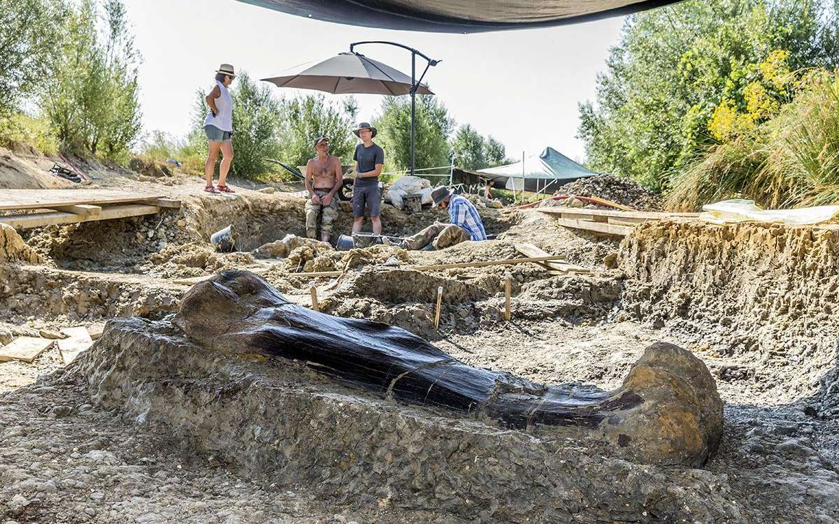 fémur de dinosaure géant découvert site Angeac Charente