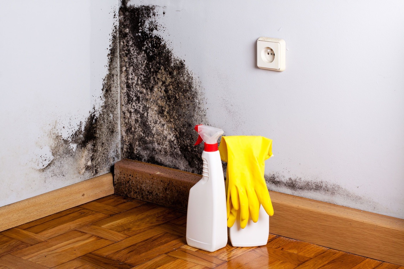 Quelles solutions pour lutter contre l’humidité dans son logement