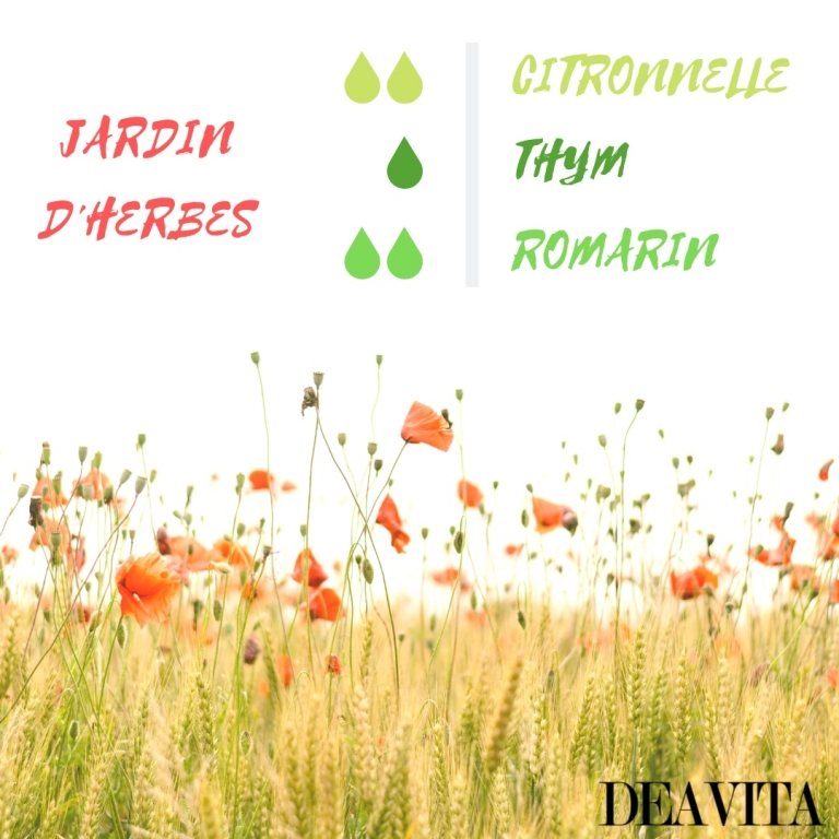 mélange d'huiles essentielles pour diffuseur citronnelle thym romarin