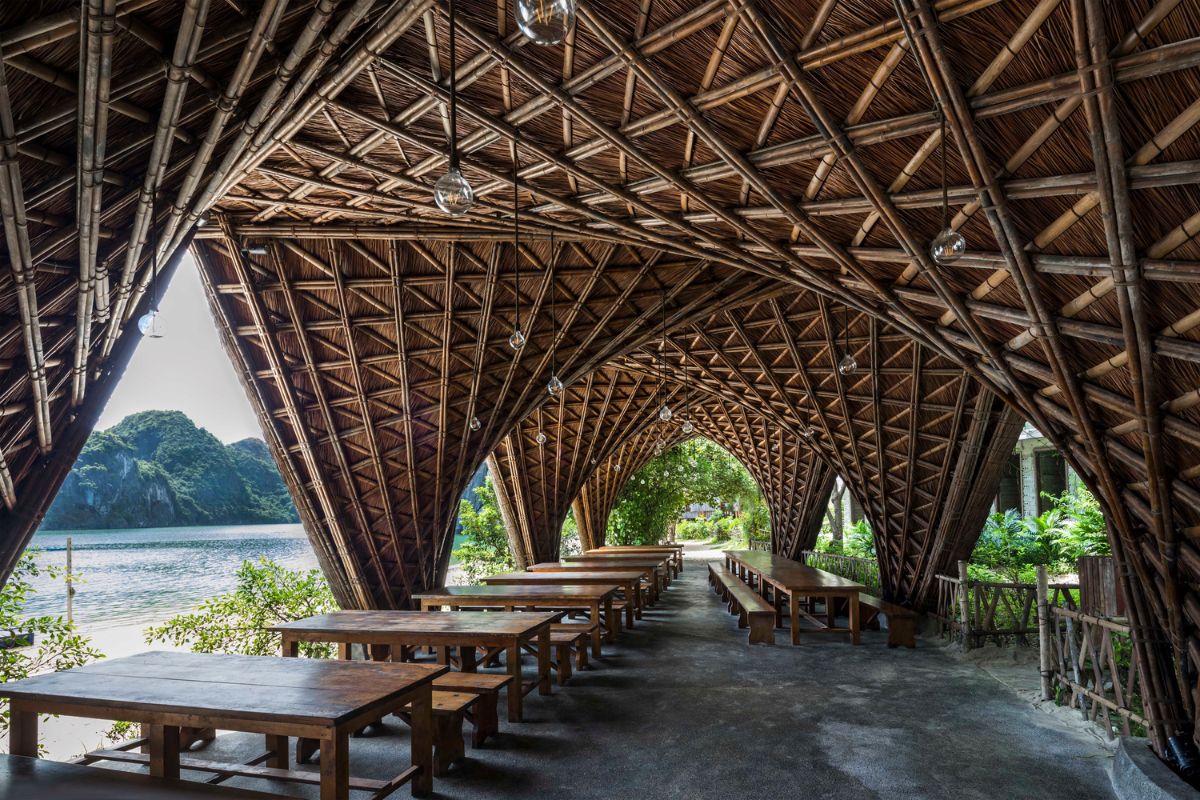 architecture écologique structure en bambou plafond ondulé restaurant avec vue