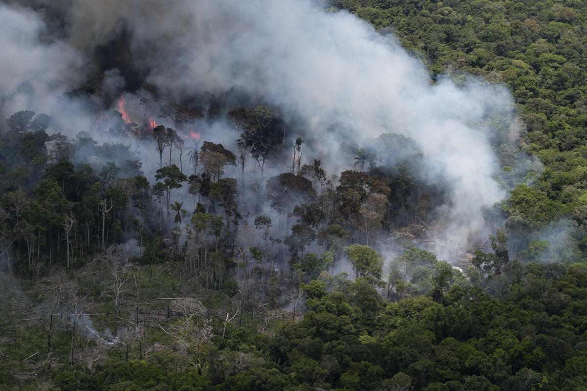 La Foret Amazonienne Ravagee Par Des Incendies Depuis Des Semaines