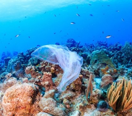 produits plastiques mort des récifs coralliens pollution océans