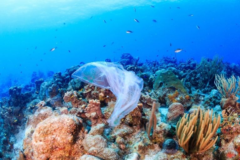 produits plastiques mort des récifs coralliens pollution océans