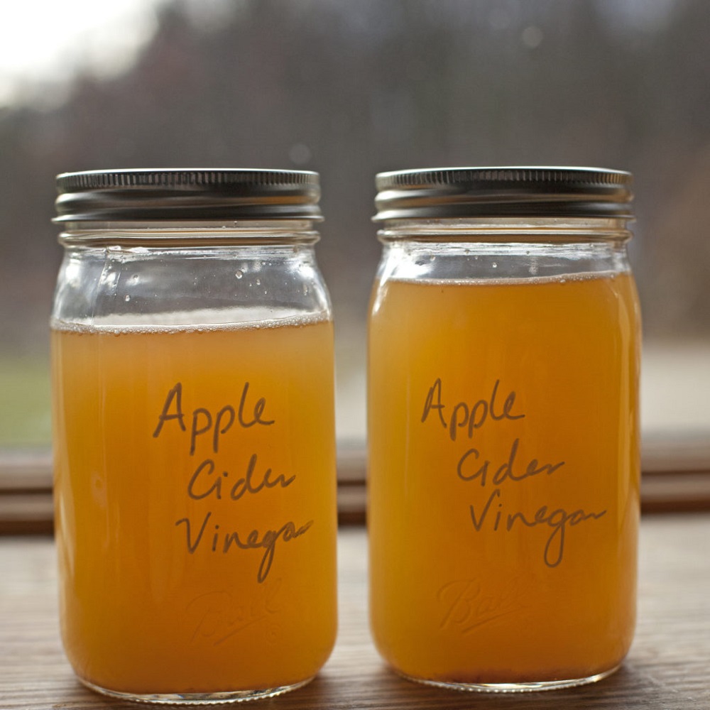 vinaigre de cidre recette maison avec pommes entières bio recette complète