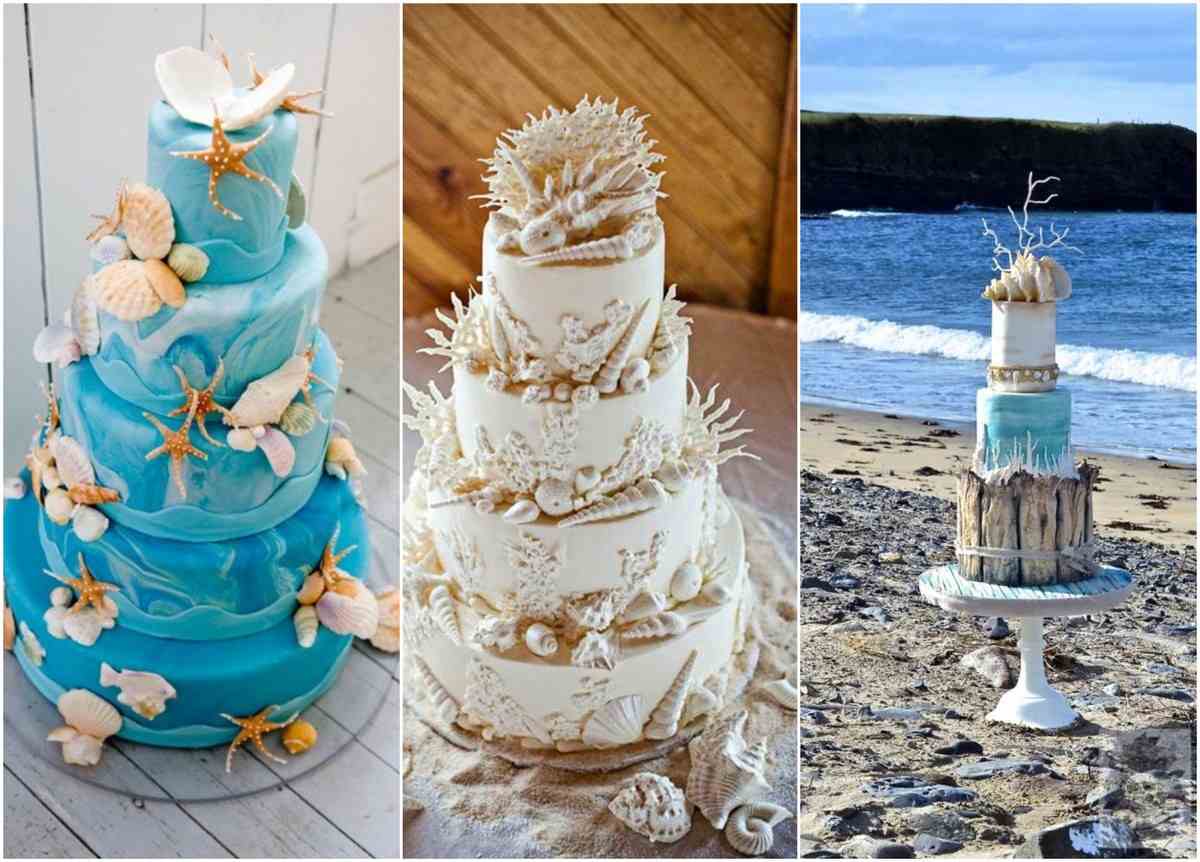 Decoration De Gateau En Coquillages Un Super Cake Pour Chaque Occasion