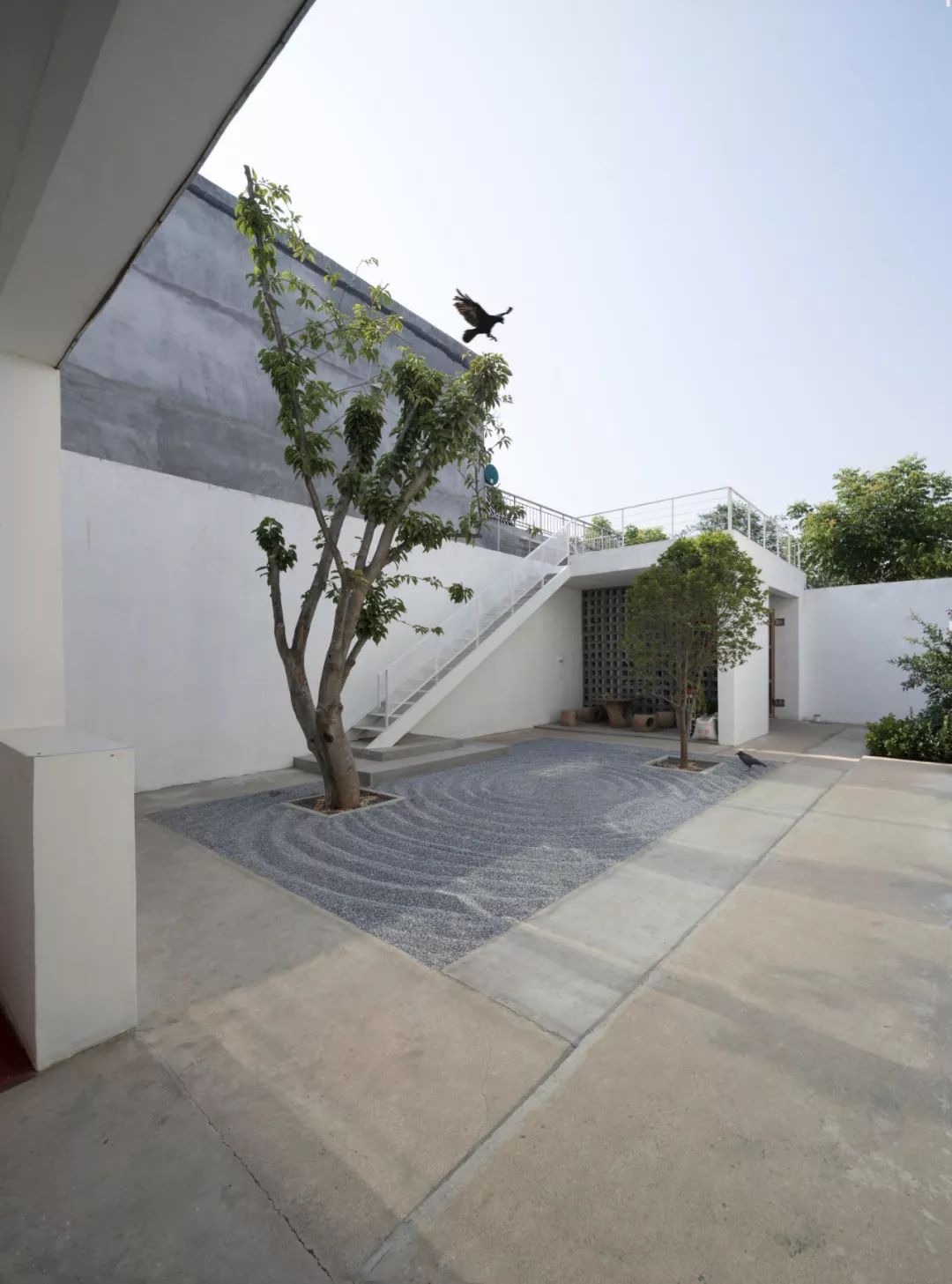 petit jardin zen cour intérieure béton maison d'architecte arbre