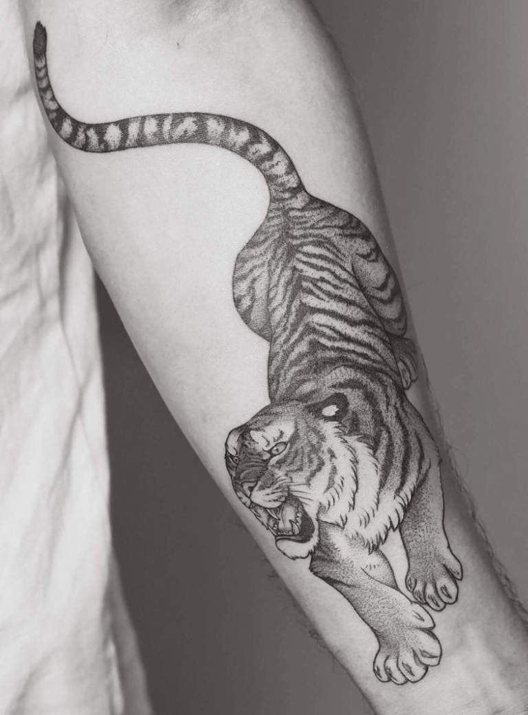 tigre graphique idée tatouage homme pour avant bras