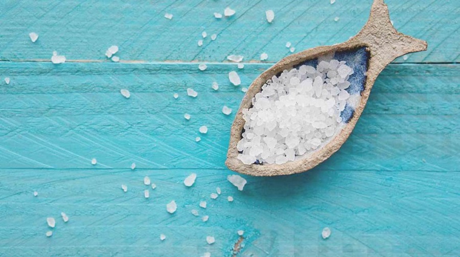sel marin bienfaits santé utilisation dosage