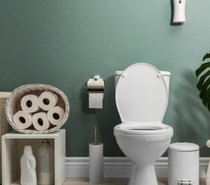 decoration toilettes originale idées déco diverses