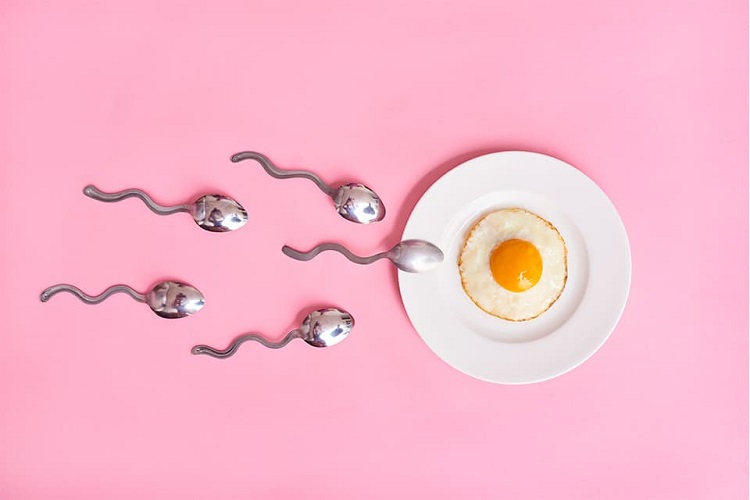 régime hormones pour maigrir que manger pendant ovulation idée menu équilibré