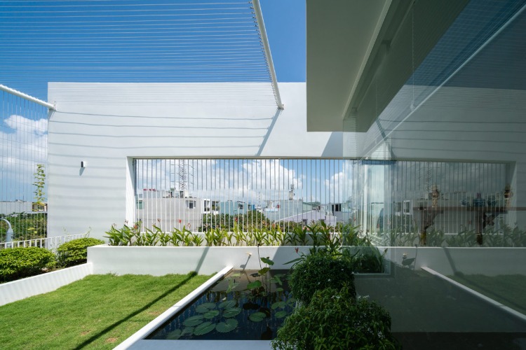bassin sur le toit concept vert maison d'architecte moderne