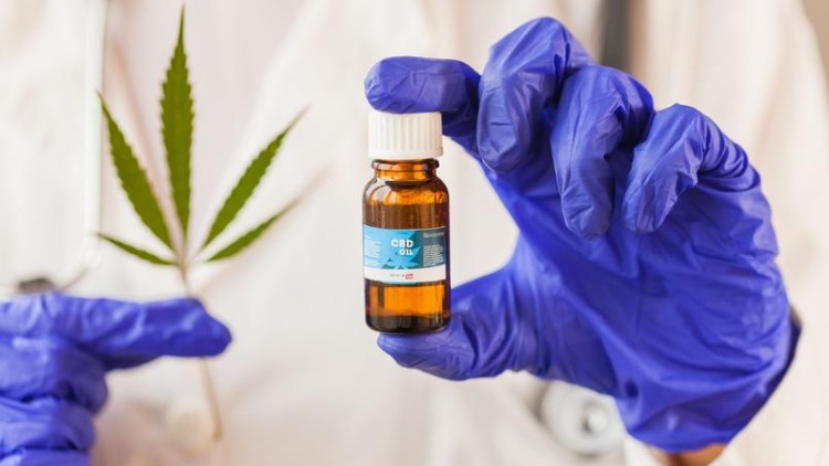 cannabis médical essais en France en septembre