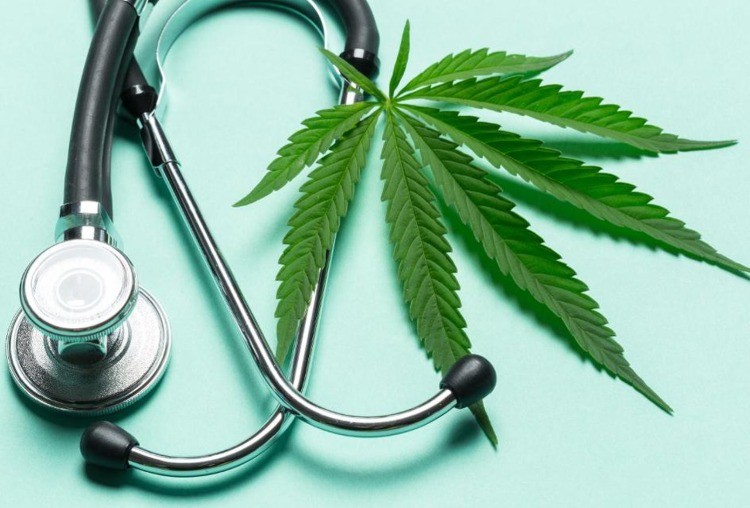 cannabis thérapeutique expérimentation en France bienfaits douleurs