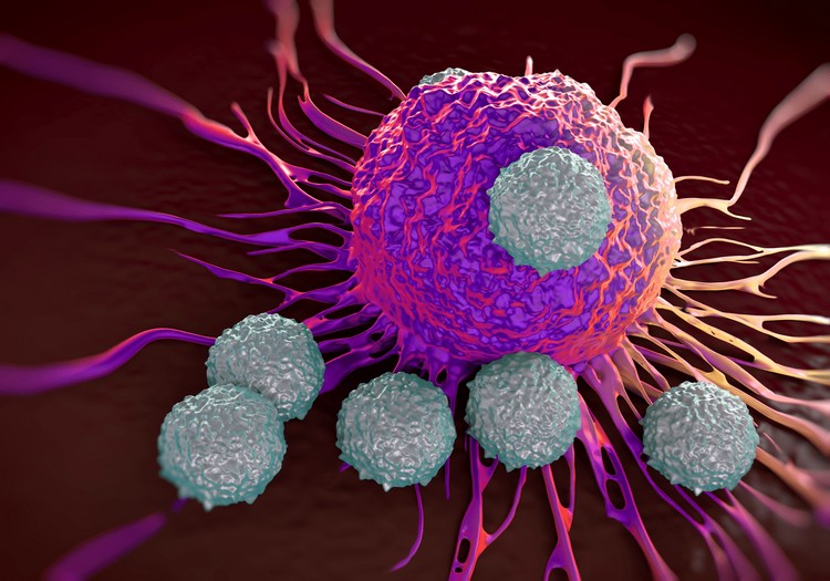 découverte scientifique nouvelle cellule immunitaire lutte contre le cancer