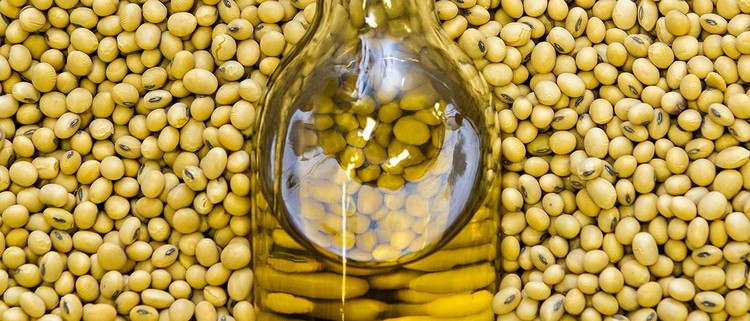 huile végétale soja dangers pour la santé maladies neurologiques