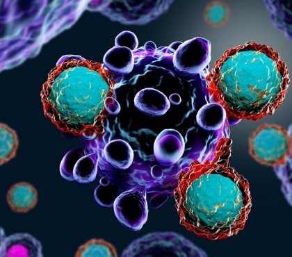 lutte contre le cancer nouvelle cellule immunitaire qui tue les cellules cancéreuses
