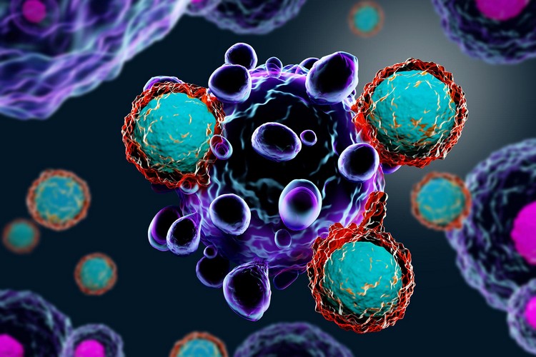 lutte contre le cancer nouvelle cellule immunitaire qui tue les cellules cancéreuses