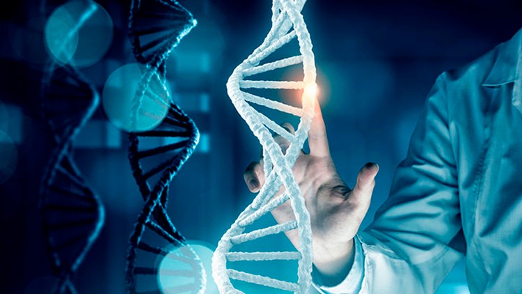 maladies génétiques ADN diagnostic traitement intelligence artificielle