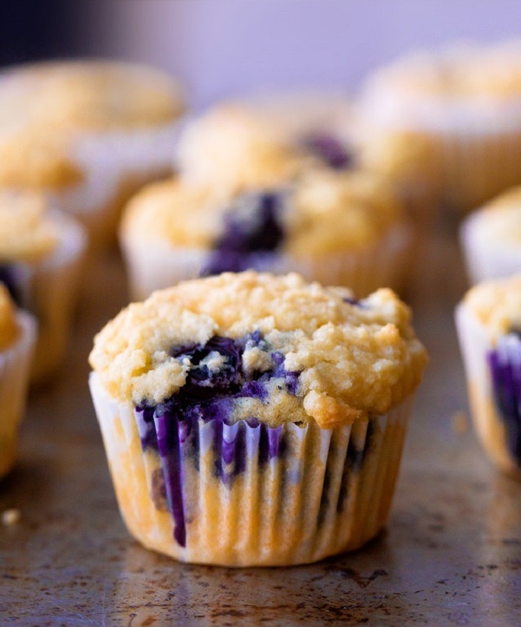 muffins aux bleuets kéto petit dejeuner