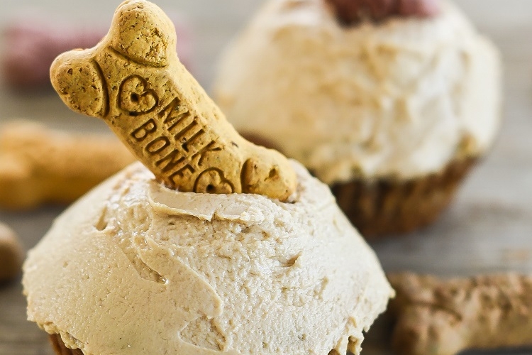 Gâteau pour chien - meilleures recettes à essayer