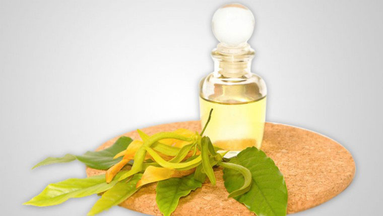 ylang ylang huile essentielle