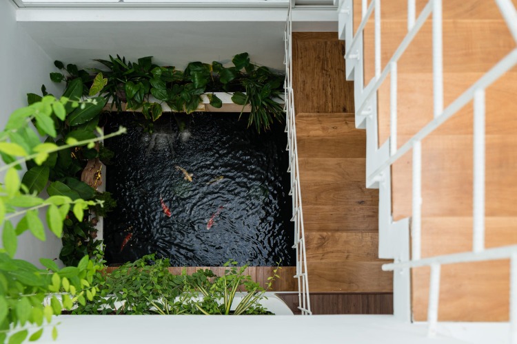 étang intérieur maison d'architecte design sur mesure bassin à poisson sous escalier