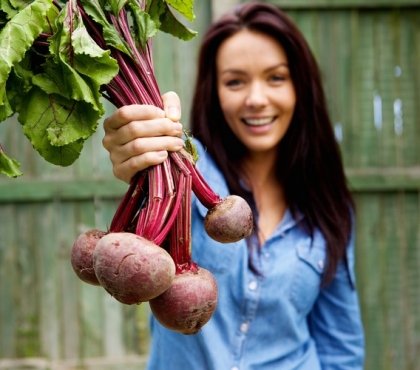 betterave racine-légume bienfaits santé