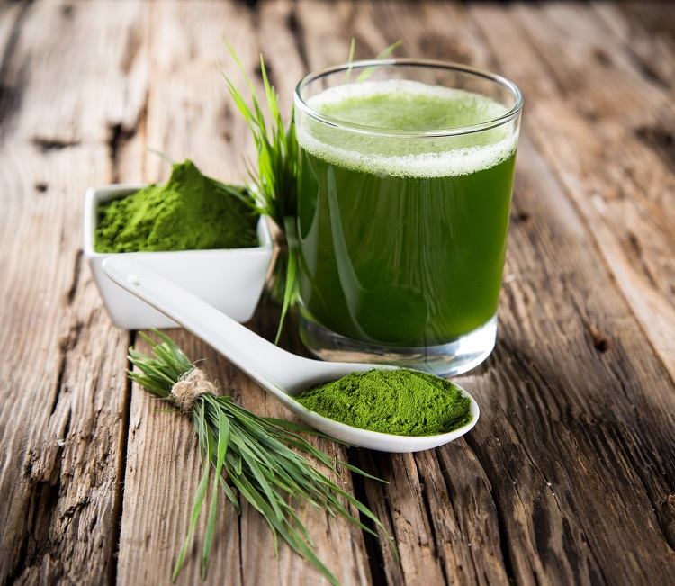 comment consommer la spiruline conseils experts utilisations saines