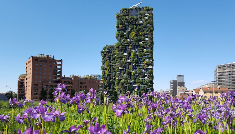 vegetalisation urbaine batiment facade vegetalisee