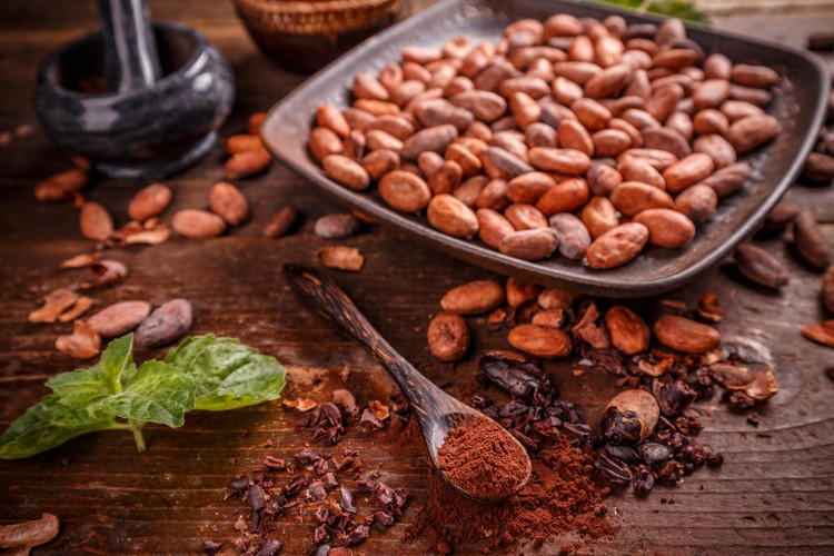 vertus santé cacao bienfaits insoupçonnées