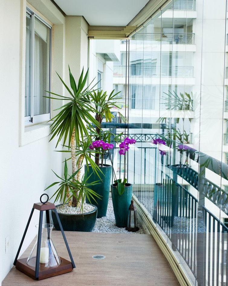 balcon etroit moderne vitre deco palmiers orchidees