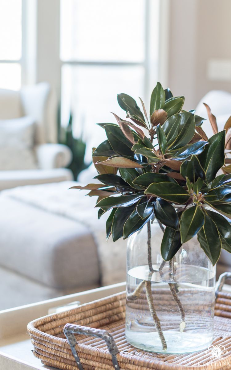comment décorer l'intérieur avec feuilles de magnolia