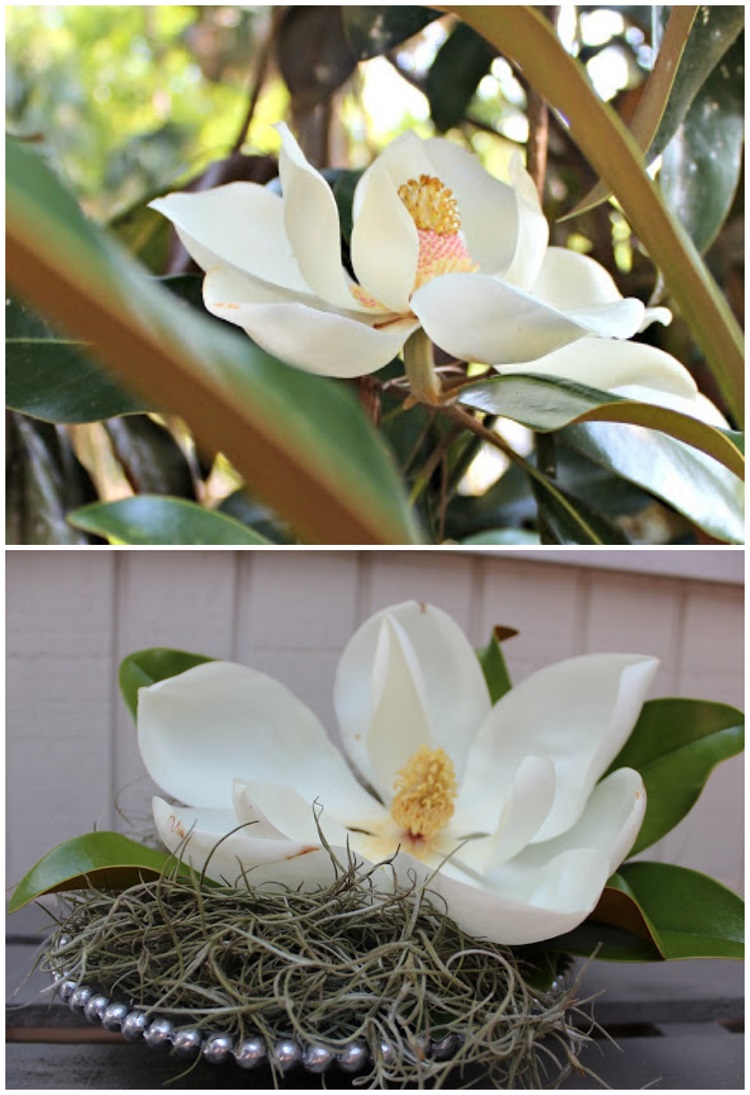 déco printemps en magnolia idées et inspirations à copier