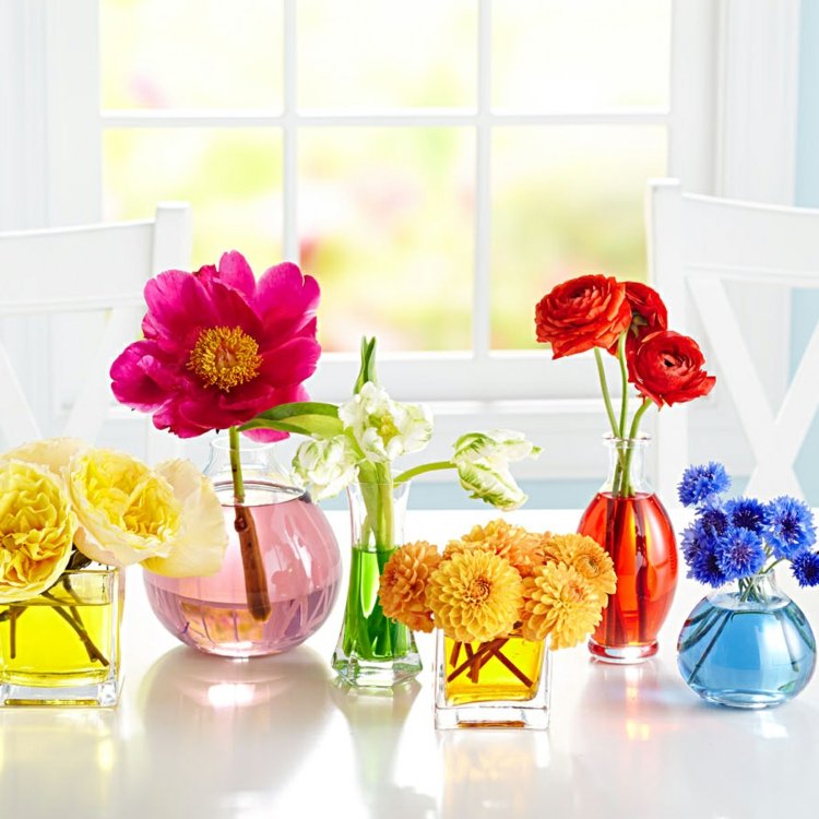 fleurs de printemps en vases colorant alimentaire dans l'eau