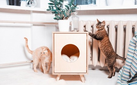 idées meubles diy pour cacher la litière de votre chat