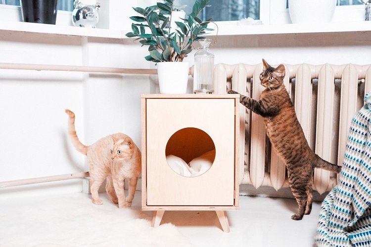 idées meubles diy pour cacher la litière de votre chat