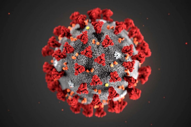 se protéger du coronavirus booster l’immunité idées
