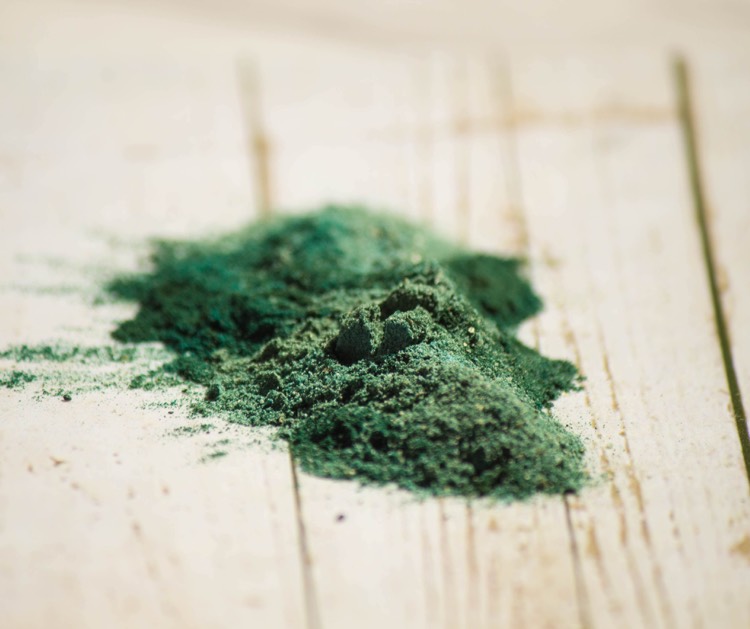 super aliment vert algue klamath AFA