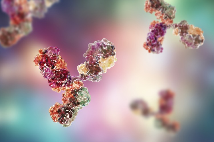antigenes etrangers reaction defenses immunitaires