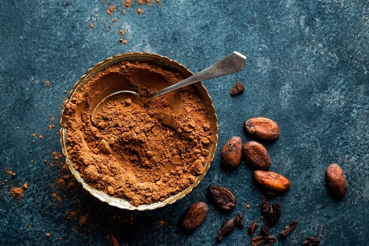 cacao non sucré en poudre- riche en fer régime vegan et végétarienne