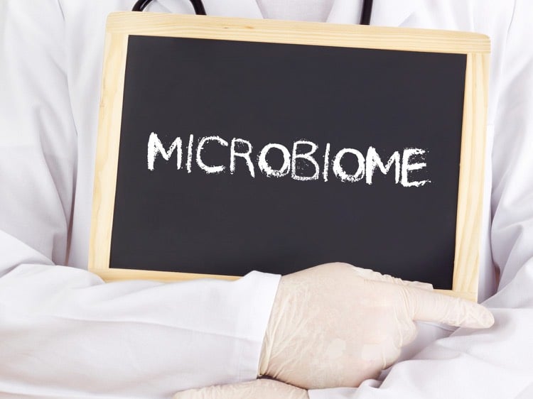 comment prendre soin de son microbiome intestinal