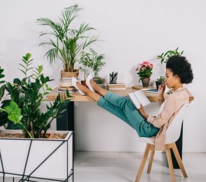 plantes pour bureau entretien facile