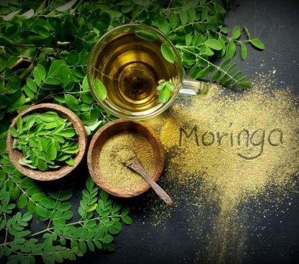 poudre de Moringa plante miracle médicinale vertus santé