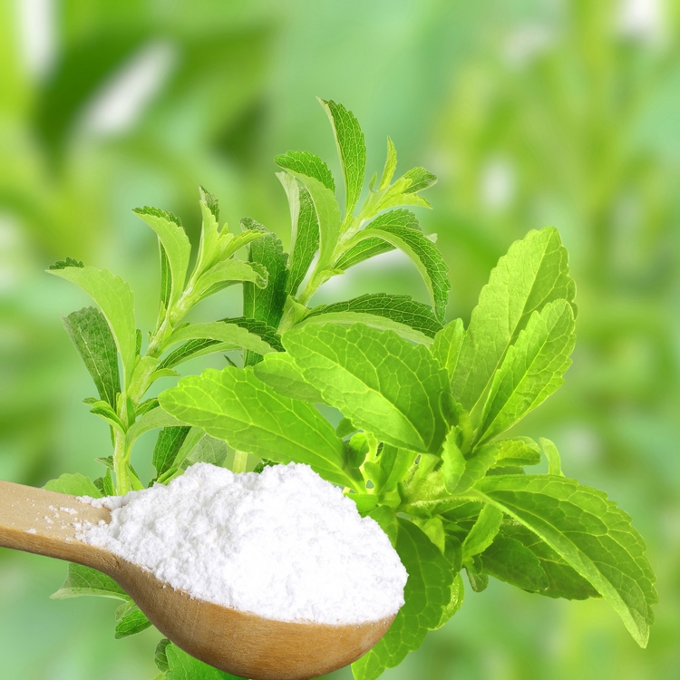 stevia substitut du sucre pour diabetiques et regime keto