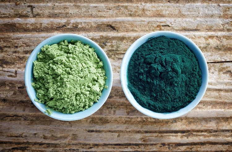 végétaux riches en fer algues alimentation végétarienne et végan carences en vitamines