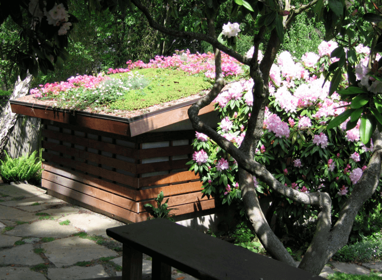abri de jardin transformé en ari de poubelles extérieures projet aménagement jardin sur mesure toit végétalisé