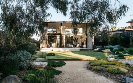 amenagement jardin australien plantes resistantes eucalyptus
